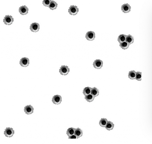 Bullet Holes 22